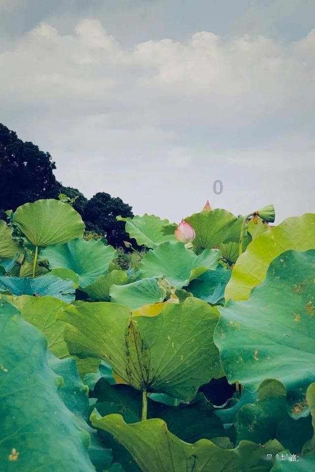 轻松解决问题,尽在如何看待公墓风水问答平台